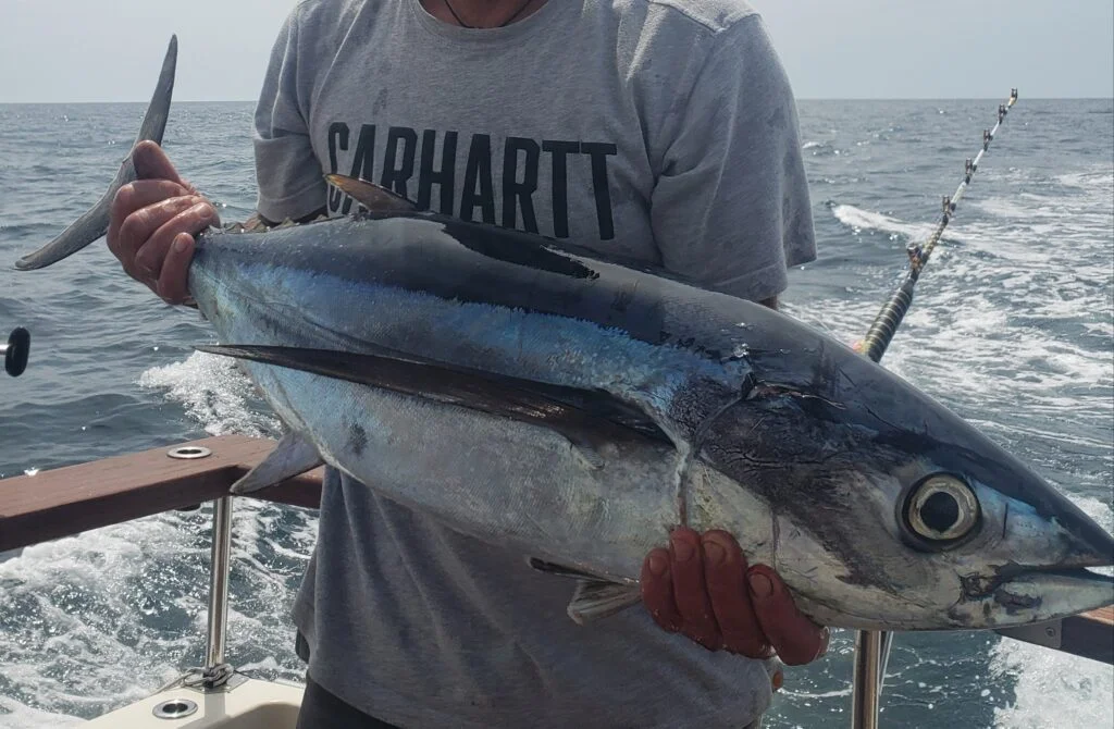 sortie de pêche au thon guide de pêche Arcachon Cap Ferret Bassin d'Arcachon