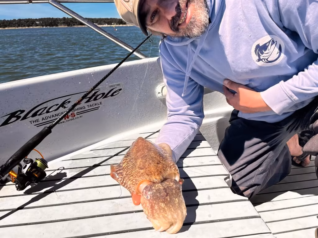 Quelles espèces de poissons pêcher sur le bassin d’Arcachon ?