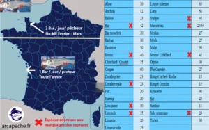 quotas de pêche au bar en 2024