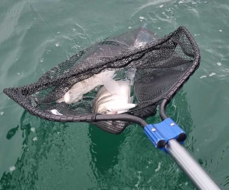 sortie de pêche en mer bassin Arcachon