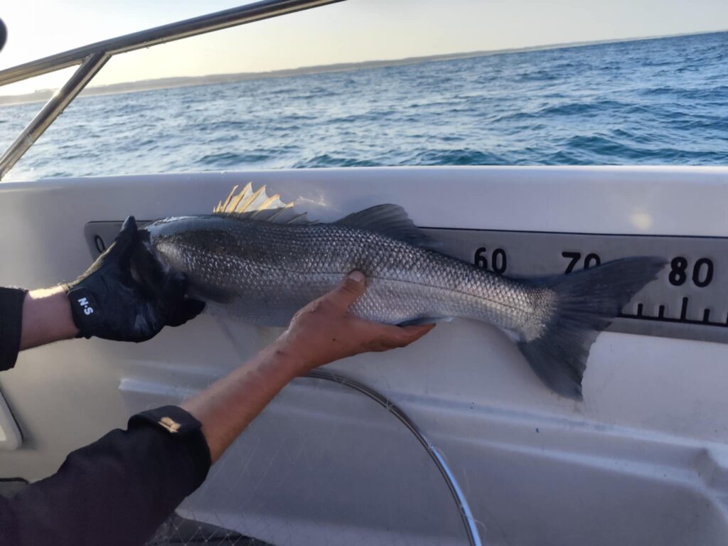 pêche cap ferret dans les passes de la pointe