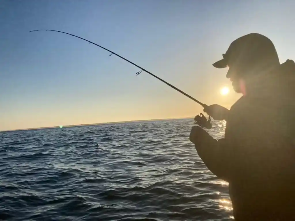 guide pêche Bassin Arcachon coup du soir